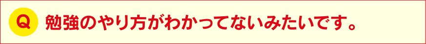 勉強のやり方がわかってないみたいです。