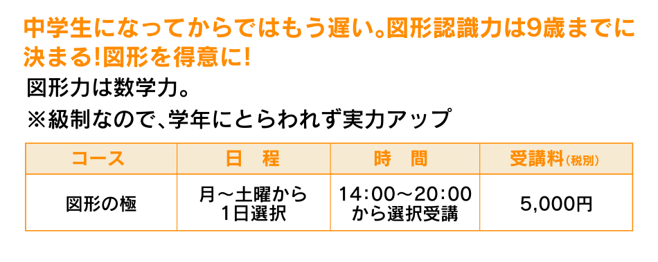 中学生になってからではもう遅い。図形認識力は9歳までに決まる!図形を得意に!