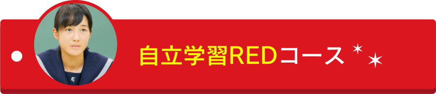 自立学習RED（レッド）大分明野教室の個別指導 教育プログラムについて。小4～中3対象